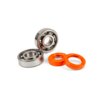 Kit cuscinetti albero motore Stage6 R/T C3 metallo 17 / 20mm AM6