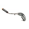 Exhaust Stage6 R/T 70 - 80 Beta RR before 2021 Black / Orange