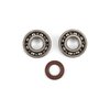 Kit cuscinetti albero motore Stage6 metallo Piaggio Ciao