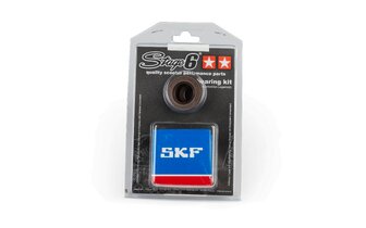 Kit cuscinetti albero motore Stage6 metallo PGO Big Max