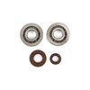 Kit cuscinetti albero motore Stage6 metallo PGO Big Max