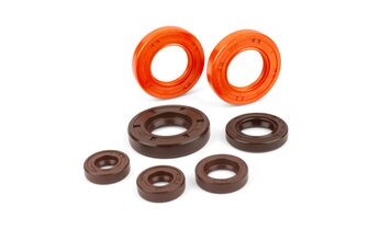 Pochette de joint spi moteur Stage6 Derbi Euro 3/4