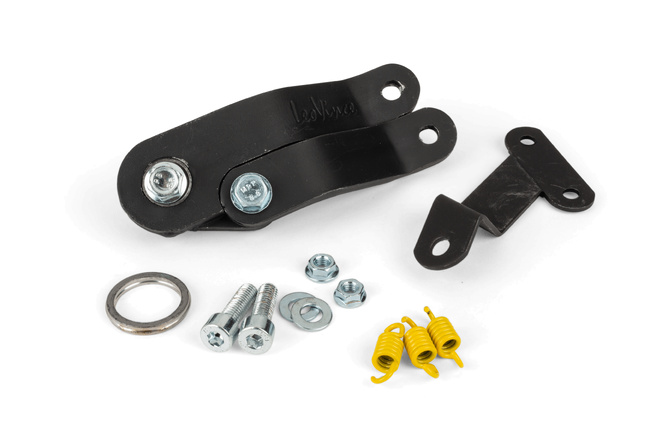 Exhaust LeoVince GP Evo 2 Minarelli horizontal