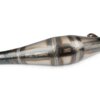 Escape SCR Corse Handmade 50-70cc Minarelli AM6