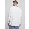 Longsleeve T-Shirt College Southpole white