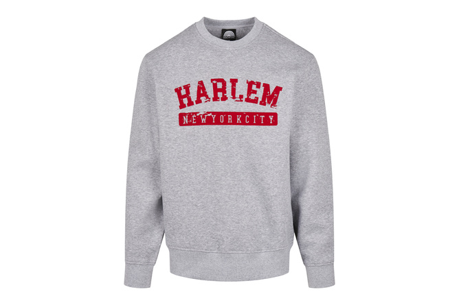 Pull col rond Harlem Southpole gris clair