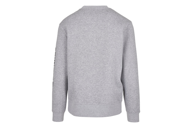 Pull col rond Halfmoon Southpole gris clair