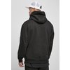 Hoody 3D Embroidery Southpole nero