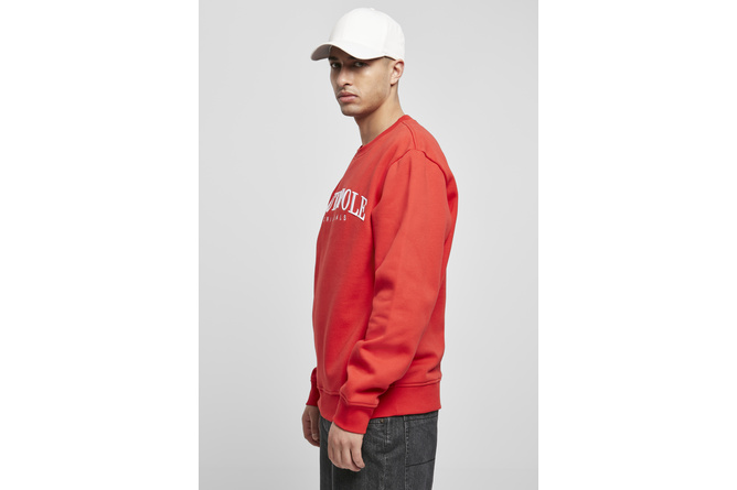 Pull col rond Southpole rouge