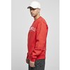 Sweater Rundhals / Crewneck Script 3D Embroidery SP Southpole rot