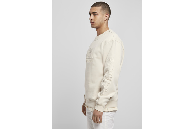 Sweater Rundhals / Crewneck Special 3D Print Southpole sand