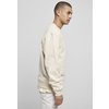 Sweater Rundhals / Crewneck Special 3D Print Southpole sand