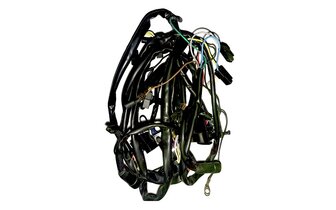 Cable Harness Beta Cyclo