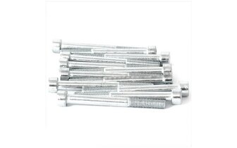 Screw M8x70 galvanized (x12)