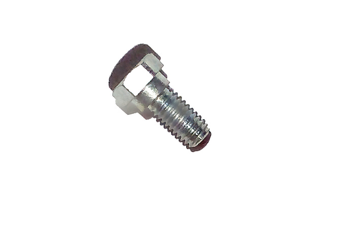 Screw engine mount Solex