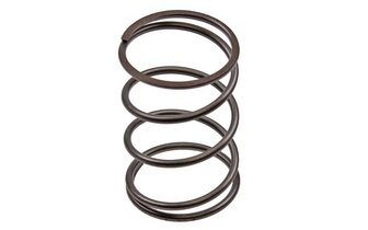 Torque Spring 50cc GY6