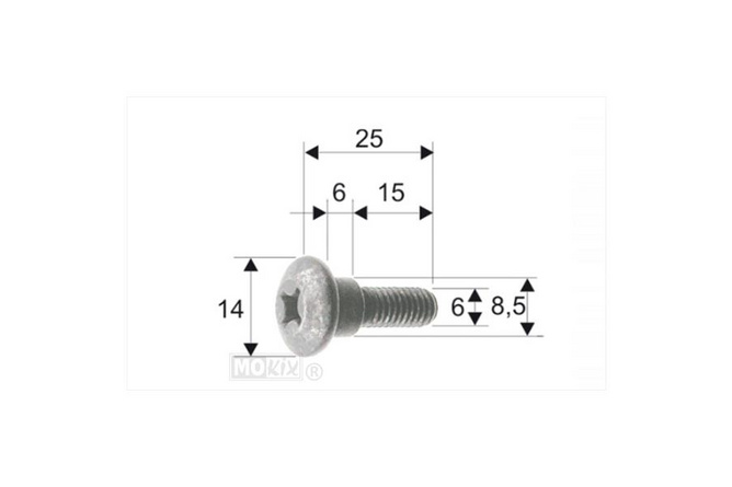 Fairing Screws M6x21 (8x5) Piaggio (x10)