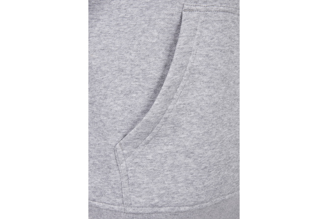 Sweat à capuche Logo Starter bicolore gris clair
