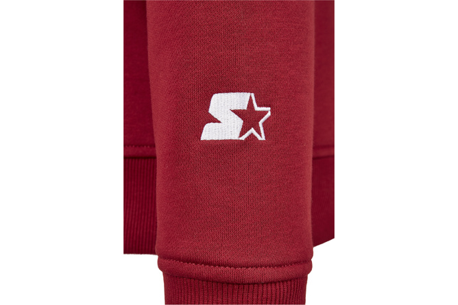 Hoody Small Logo Starter brick rosso