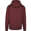Hoodie The Classic Logo Starter oxblood rot