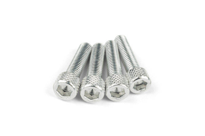 Set di viti aspirazione M6x25mm alluminio argento (x4)