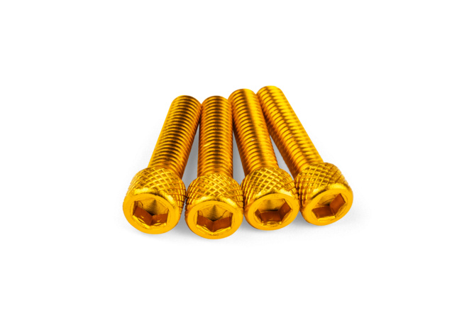 Set di viti aspirazione M6x25 mm alluminio oro (x4)