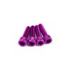 Kit visserie d'admission M6x25mm Alu Violet (x4)