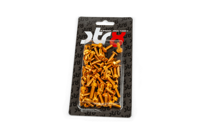 Verkleidungsschrauben Yamaha Aerox gold