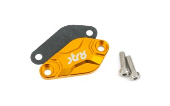 Oil Pump Cover Str8 AM6 / Derbi Gold