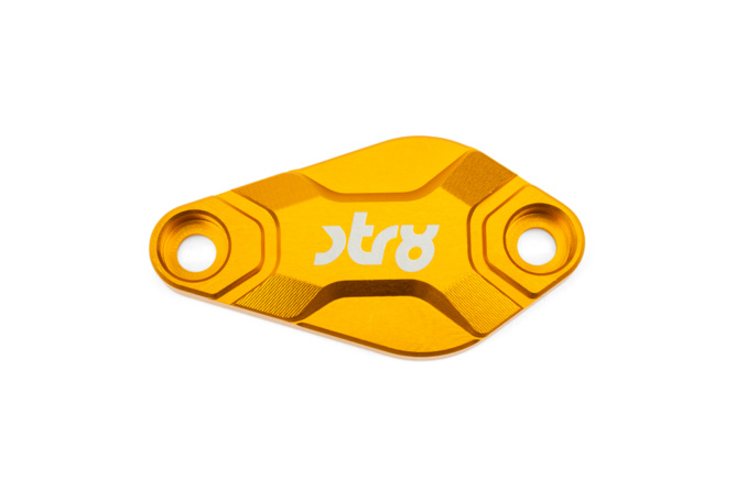 Oil Pump Cover Str8 AM6 / Derbi Gold