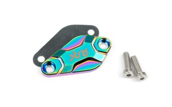 Oil Pump Cover Str8 AM6 / Derbi Neochrome