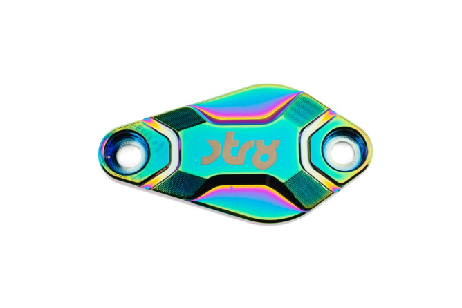 Oil Pump Cover Str8 AM6 / Derbi Neochrome