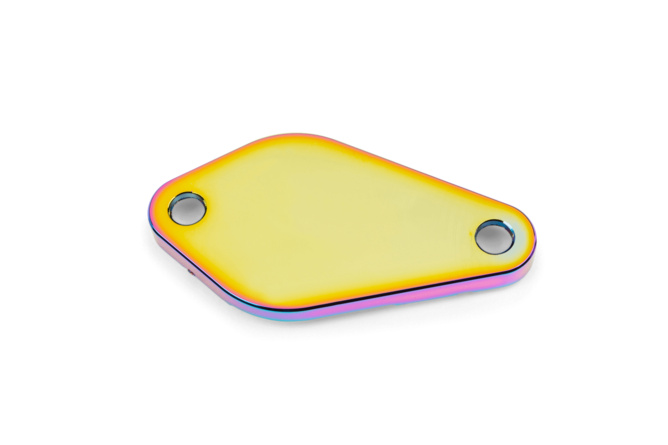 Oil Pump Cover Str8 AM6 / Derbi Neochrome