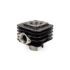 Gruppo Termico Top Performances TROPHY 50cc, Piaggio AC con Testa Cilindro