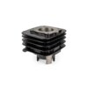 Gruppo Termico Top Performances TROPHY 50cc, Piaggio AC con Testa Cilindro