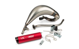 Exhaust Beta RR 50 2012 - 2020 Tecnigas E-Nox Evo 2