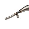 Auspuff Tecnigas Quantum Beta RR bis 2021