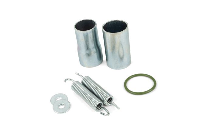Auspuff Tecnigas Quantum Beta RR ab 2021