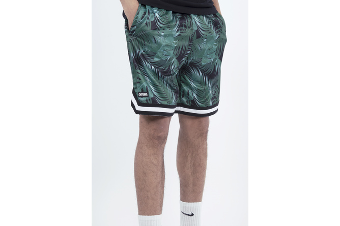 Mesh Shorts Quote Cayler & Sons black/mc