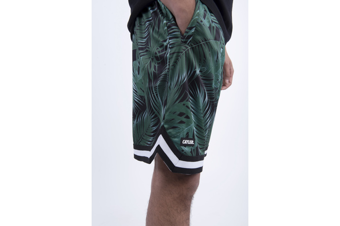 Mesh Shorts Quote Cayler & Sons black/mc