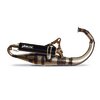 Auspuff Yasuni R-Pro Minarelli stehend Schwarz