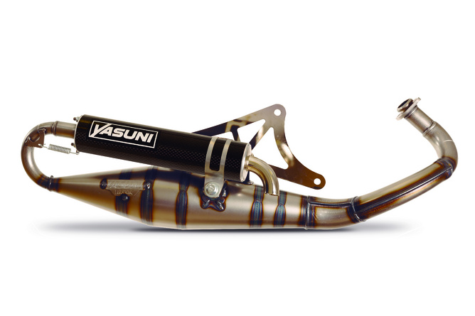 Auspuff Yasuni R-Pro Piaggio Carbon
