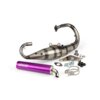 Exhaust Yasuni R Peugeot vertical Purple
