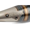 Auspuff Yasuni Z Carbon ESD Minarelli stehend mit Straßenzulassung