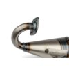 Auspuff Yasuni Z Carbon ESD Minarelli stehend mit Straßenzulassung