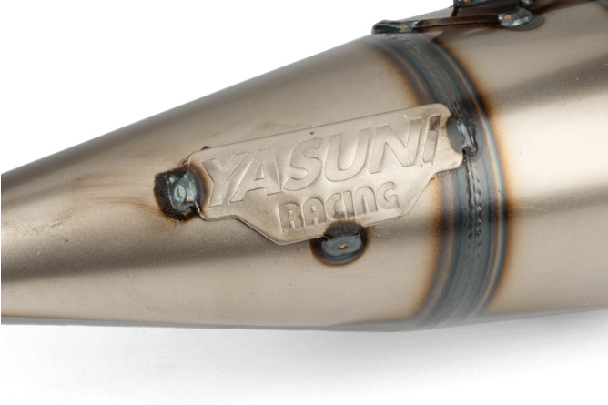 Auspuff Yasuni R Minarelli stehend Lila