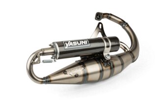 Auspuff Yasuni R Carbon ESD Minarelli stehend mit Straßenzulassung