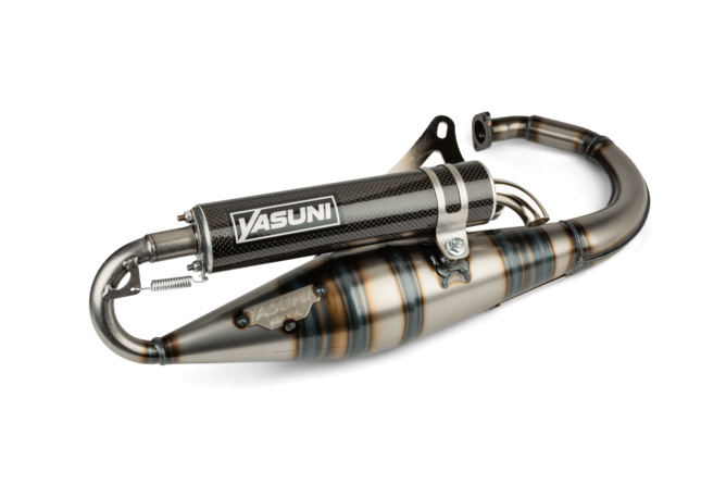Exhaust Yasuni R-Pro Minarelli vertical Carbon