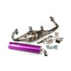 Exhaust Yasuni Z Piaggio Purple
