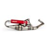 Auspuff Yasuni R-Pro Piaggio Rot